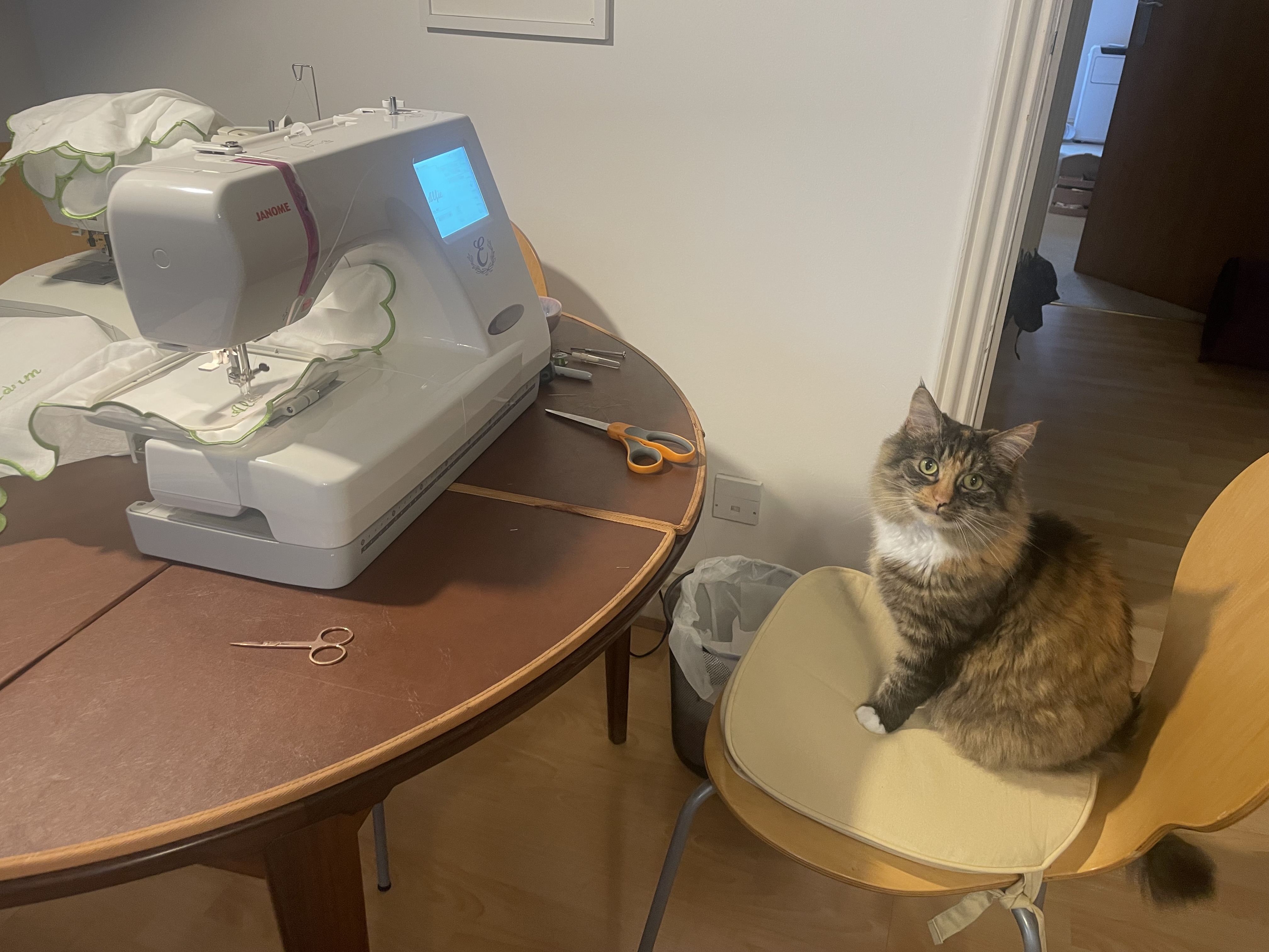 Katten Marge sidder ved siden af en lejet broderimaskine brugt til bryllups-DIY.